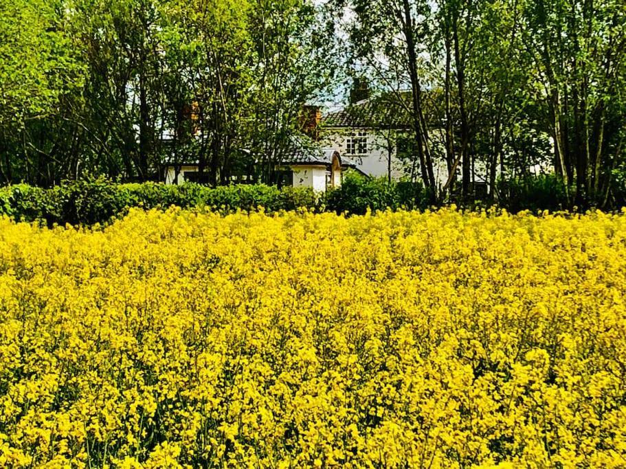 The Beekeepers - Homely Luxurious Self Catering Holiday home Diss