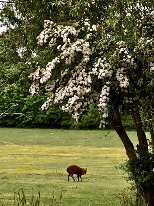 Holiday home The Beekeepers - Homely Luxurious Self Catering