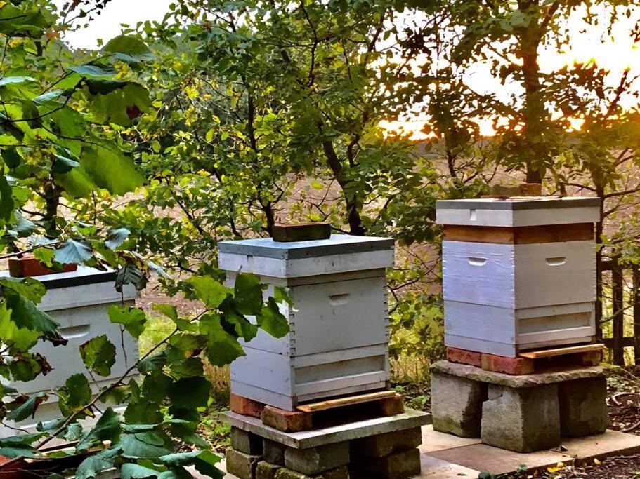 The Beekeepers - Homely Luxurious Self Catering Diss